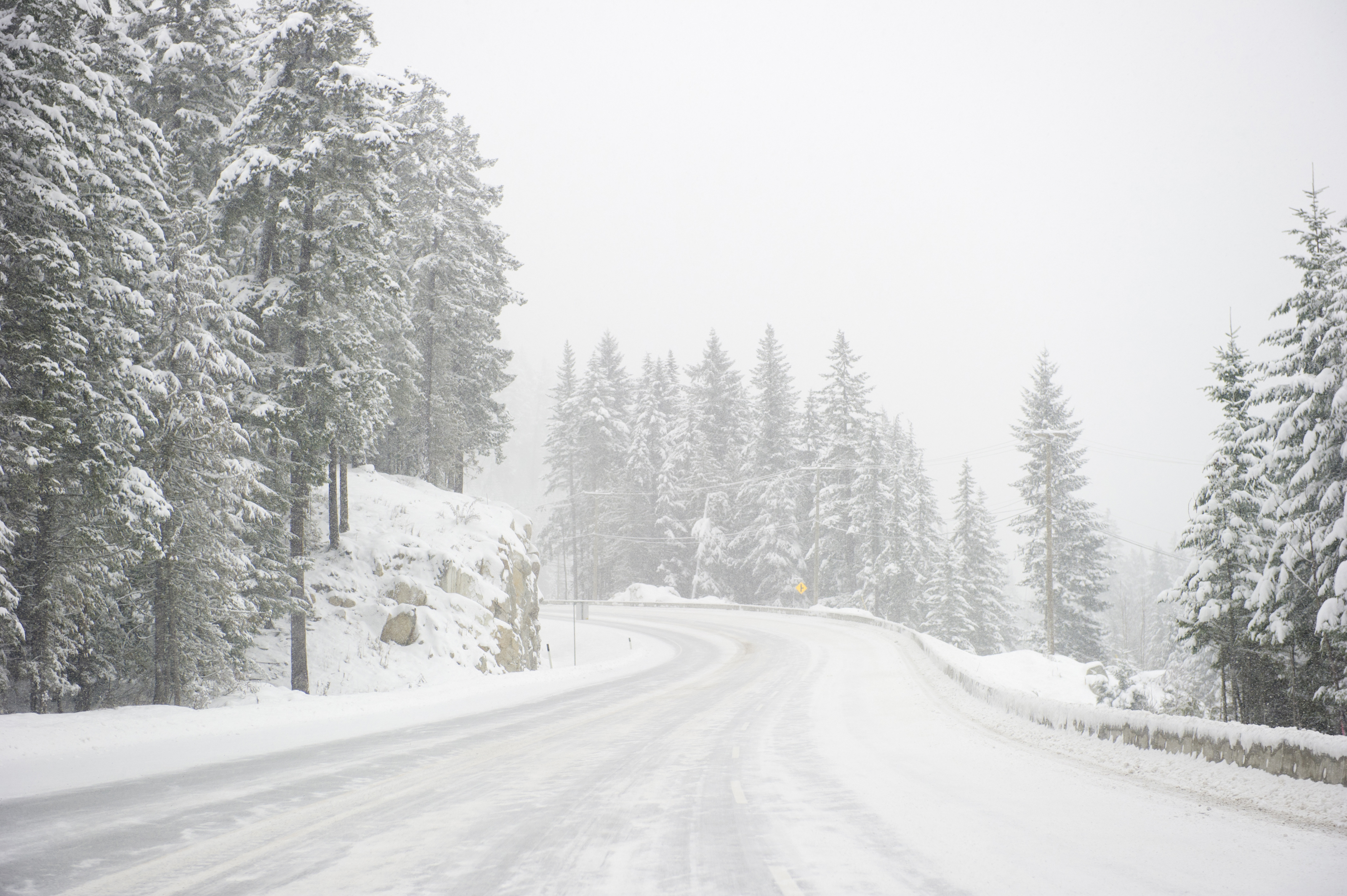 Wide Windy Highway Blizzard Thru Snow Covered Forest